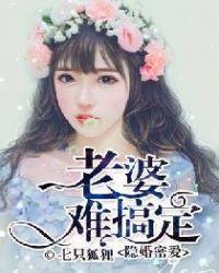 隐婚蜜爱总裁宠妻