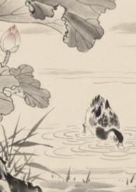 全京城都在等我掉马全文免费阅读