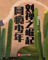 网瘾少年之刘禅崛起百科