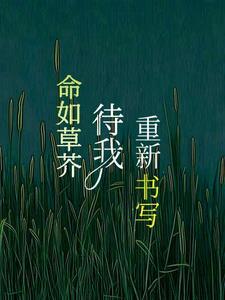 公主殿下是男主免费阅读